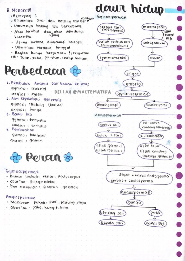 Ambisnotes | Biologi Plantae Kelas 10 - Ambisnotes