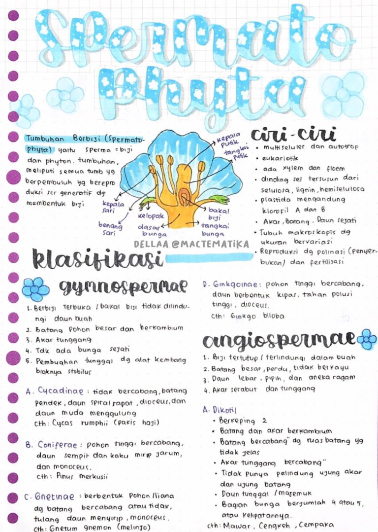 Ambisnotes | Biologi Plantae Kelas 10 - Ambisnotes