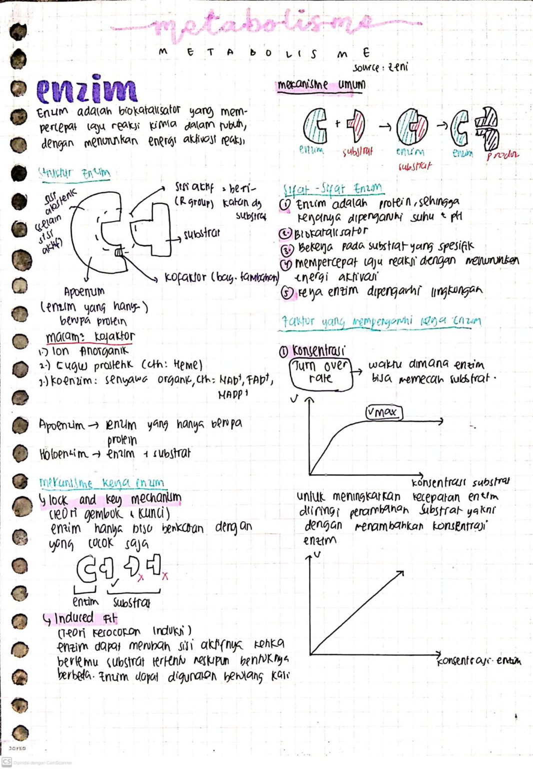Ambisnotes | Biologi Materi Metabolisme Kelas 12 - Ambisnotes