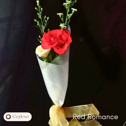 Red Romance