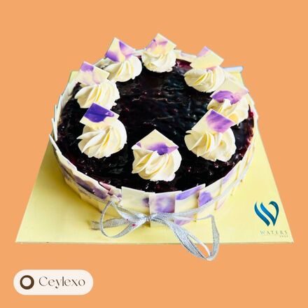 New york Blue berry Cheese Cake