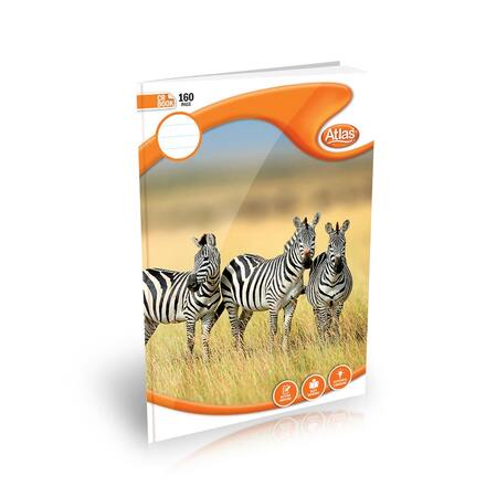 CR 160PGS (=) SINGLE RULED