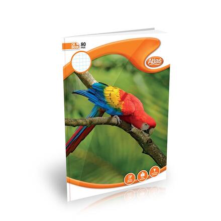 CR 80PGS (#) SQUARE RULED