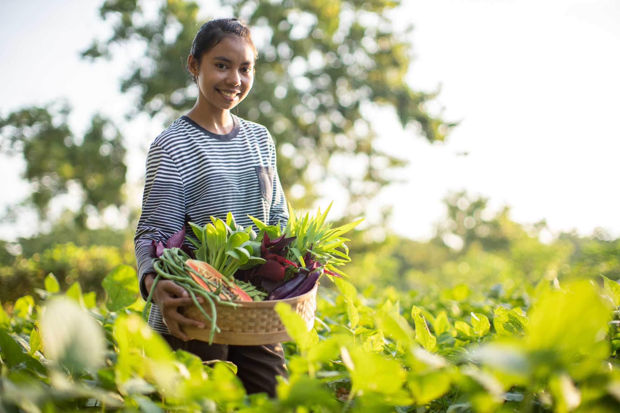 vegetable-farm-1.jpg