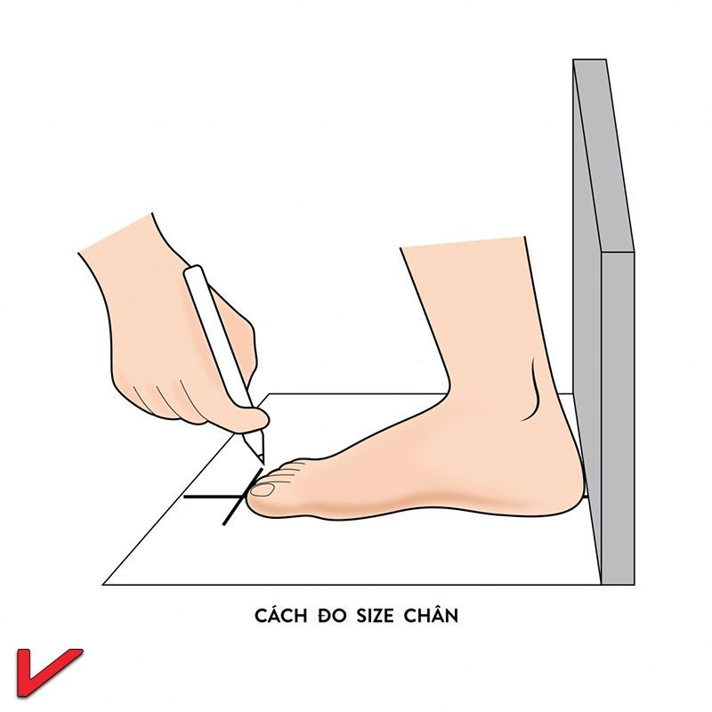 cach-do-size-giay-1.jpeg
