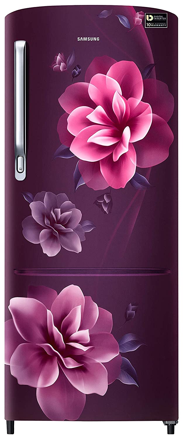 RR24T285YCR 230 Ltr Single Door Refrigerator