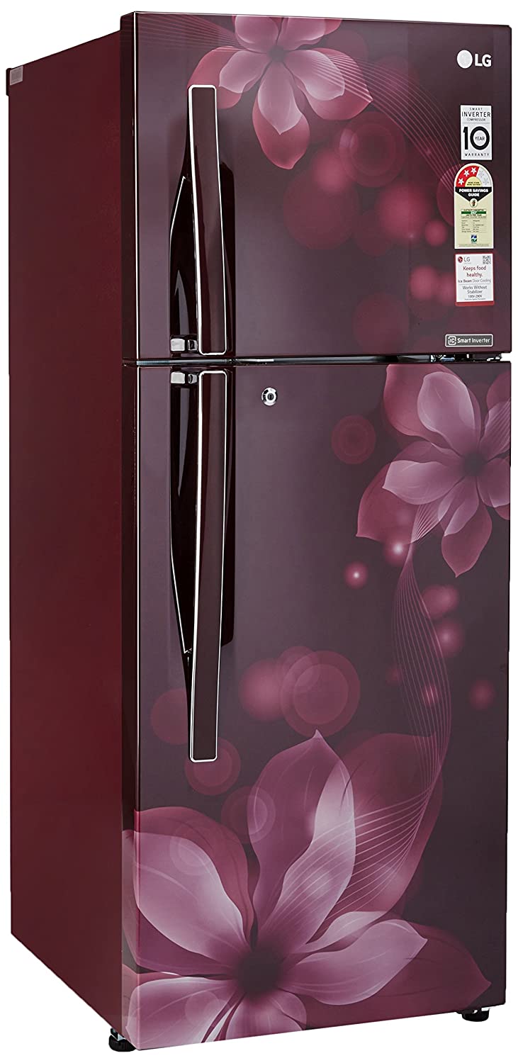 GL-T292RSOY 260 Ltr Double Door Refrigerator