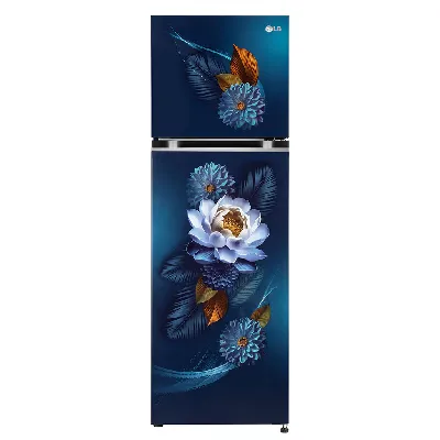 GL-S312SBWY 272L 2 Star Double Door Refrigerator