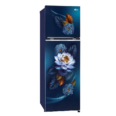 GL-S312SBWY 272L 2 Star Double Door Refrigerator