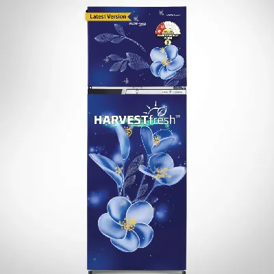 RFF315D/WPV300RMBD 268 L 2 Star Double Door Refrigerator