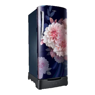 RR20F2825BB 183 L Single Door Refrigerator