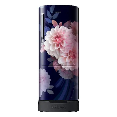 RR20F2825BB 183 L Single Door Refrigerator