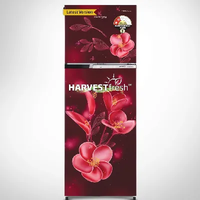 RFF315D/WPV300RMWD 268 L 2 Star Frost Free Double Door Refrigerator