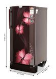 RD Edge Pro 190 CT 4.2 190 Ltr Single Door Refrigerator