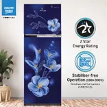 RFF315D/WPV300RMBD 268 L 2 Star Double Door Refrigerator