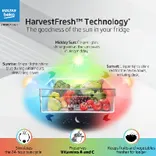 RFF315C/WPV501RXID 268 L 3 Star Frost Free Double Door Refrigerator