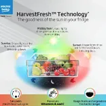 RFF315D/WPV300RMBD 268 L 2 Star Double Door Refrigerator