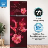 RFF315D/WPV300RMWD 268 L 2 Star Frost Free Double Door Refrigerator