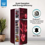 RFF315D/WPV300RMWD 268 L 2 Star Frost Free Double Door Refrigerator