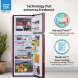 RFF315D/WPV300RMWD 268 L 2 Star Frost Free Double Door Refrigerator