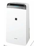 Air Purifier Dehumidifier DW J20FMW