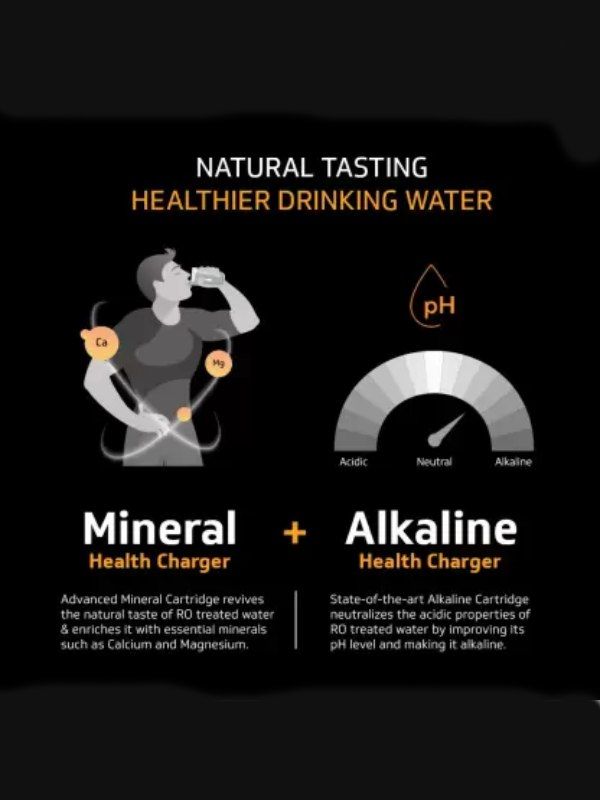 V Guard Rejive RO + UV + Minerals + Alkaline