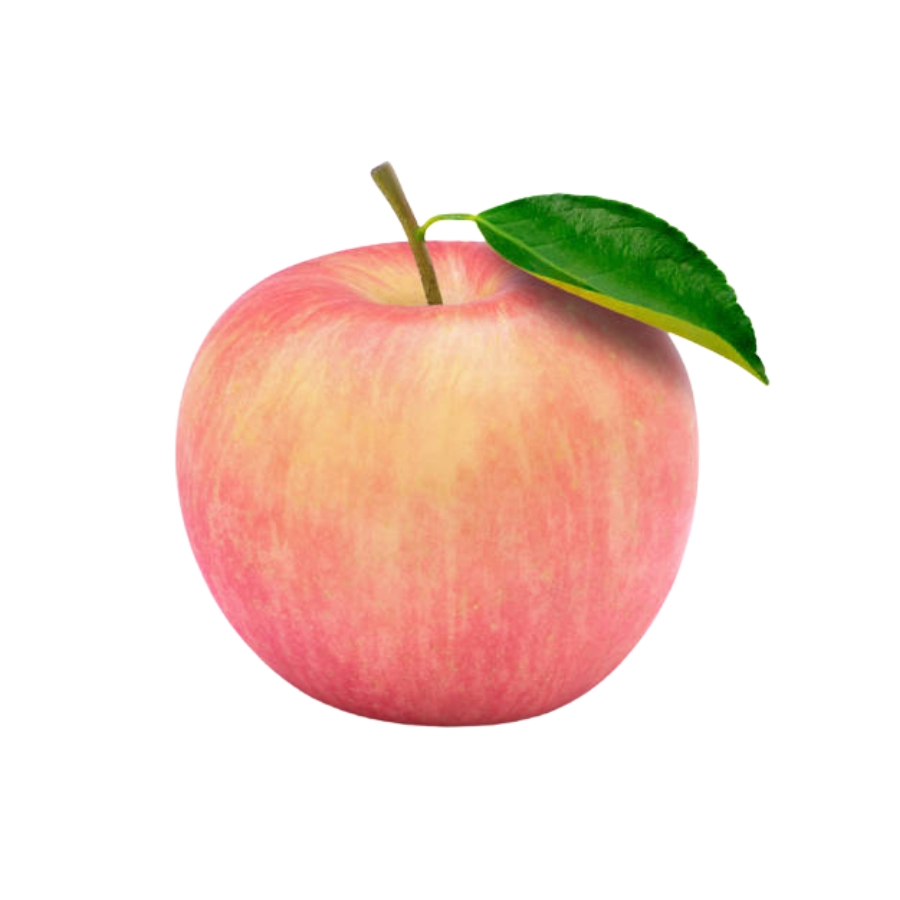 Apple - Vuongviet Amazon.com: SCHVUBENR 4.72 Inch Large Apple Slicer with 12