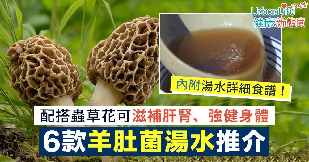 【羊肚菌湯功效＋食譜】6款羊肚菌湯水食譜推介！配搭蟲草花可滋補肝腎、強健身體
