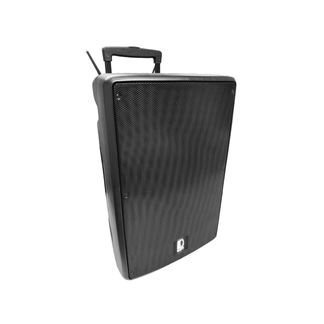 12" AC/DC Portable PA System with 2 UHF Wireless Handheld Mic 