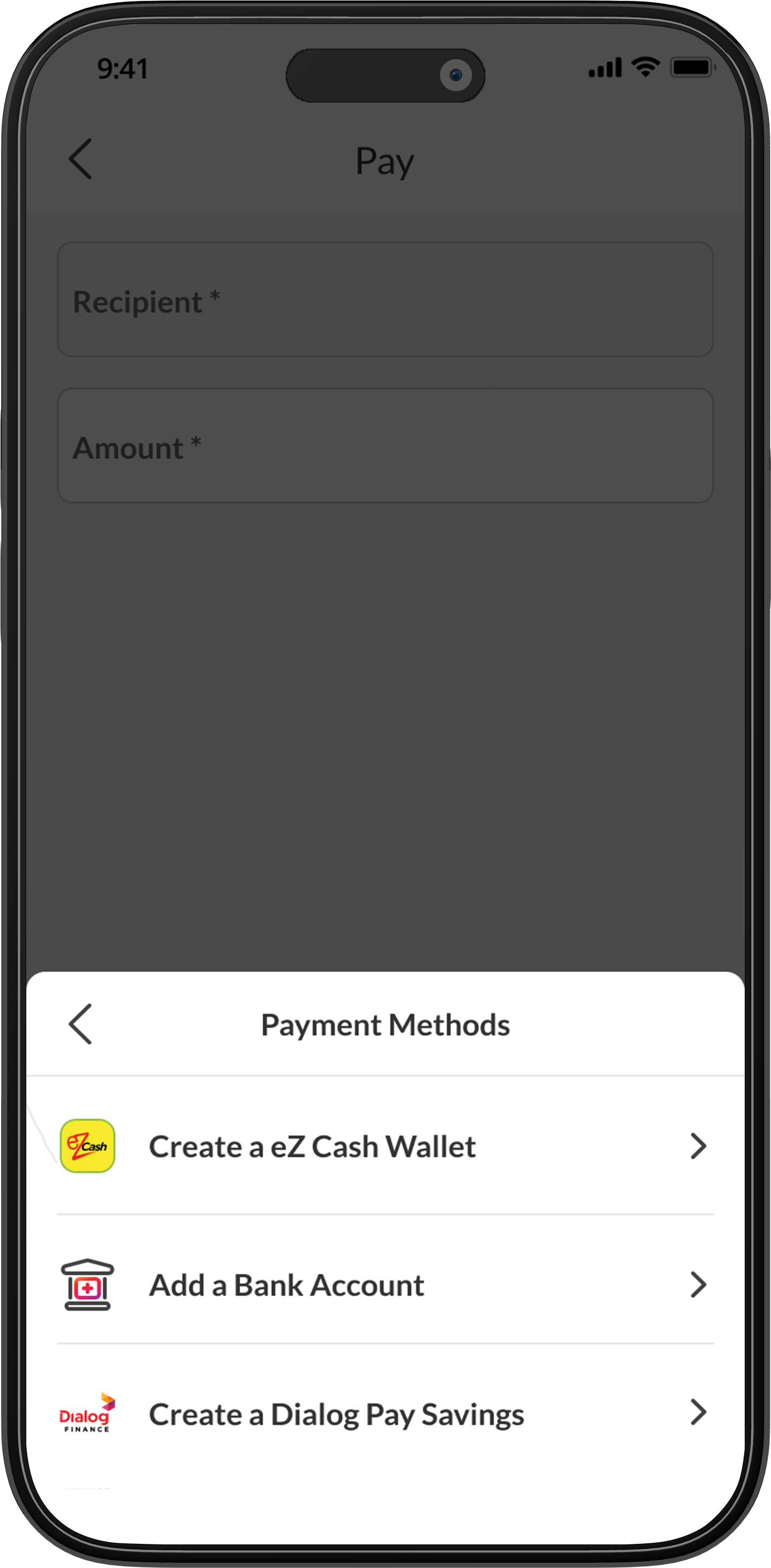 Payment Methods Screen