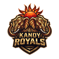 Kandy Falcons Logo