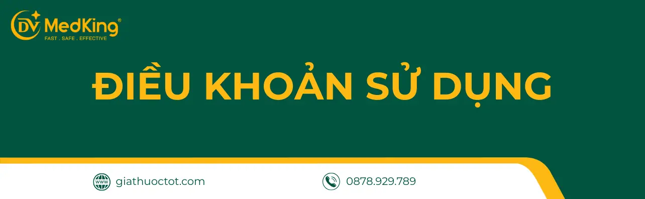 Điều Khoản Sử Dụng