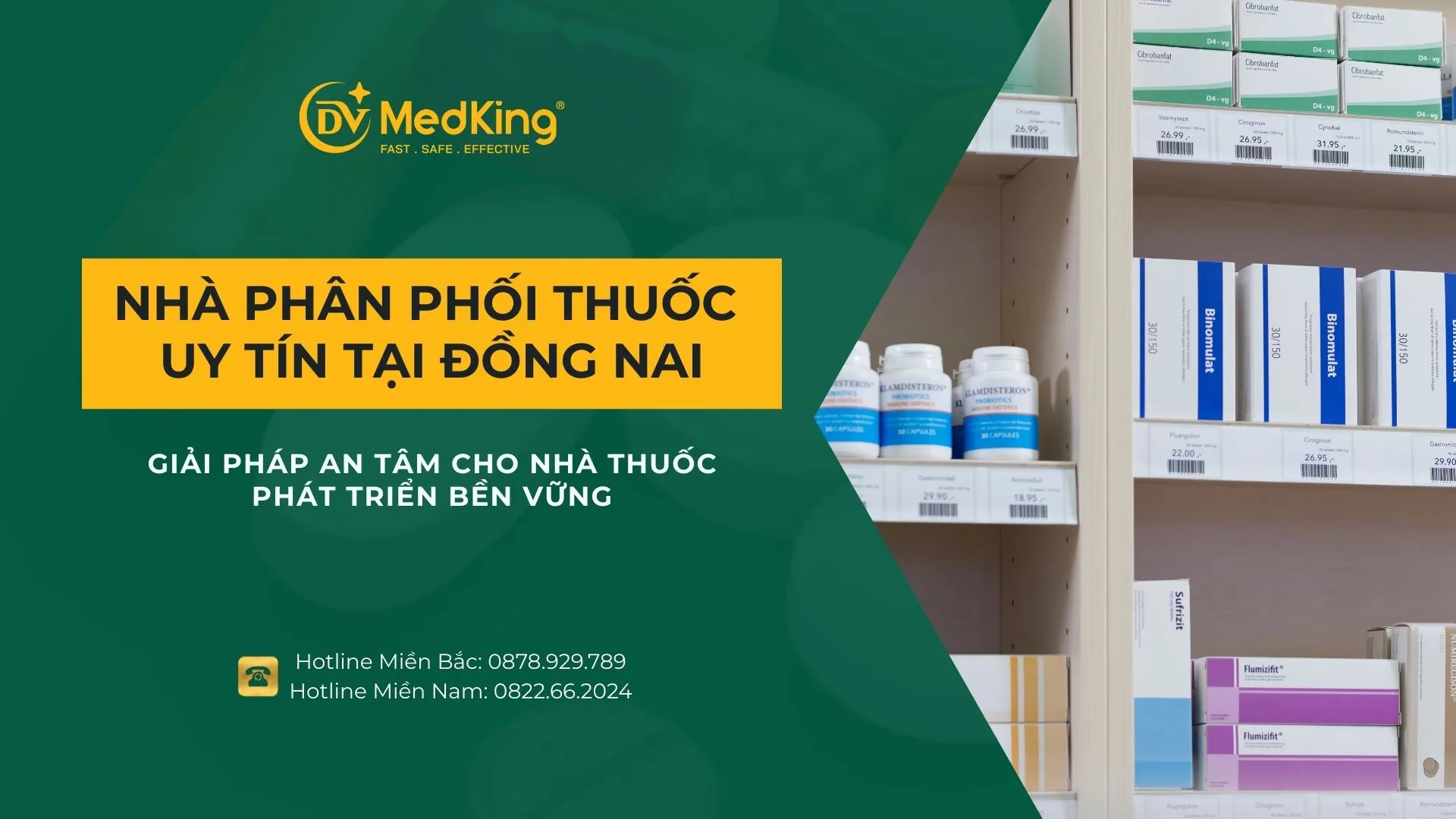 Nhà phân phối thuốc uy tín tại Đồng Nai – Giải pháp an tâm cho nhà thuốc phát triển bền vững