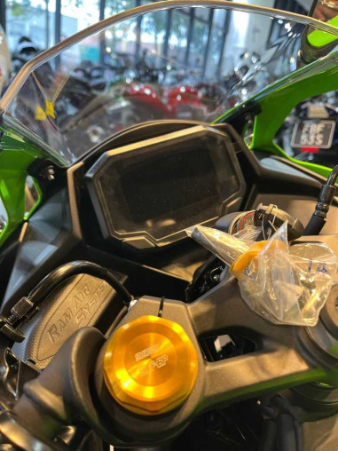 kawasaki_zx4rr_1750757205_8ad2_bb1d6463_processed.jpg