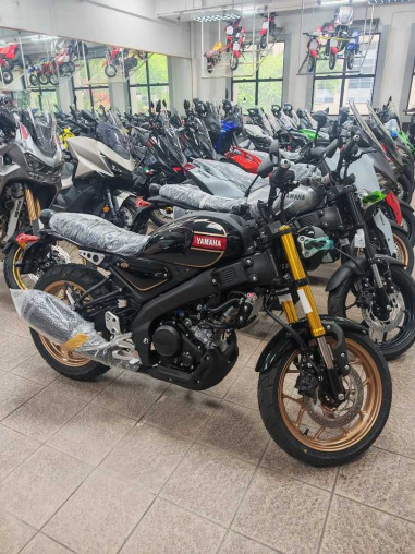 new_yamaha_xsr155_abs_17883423_77c11040_processed.jpg