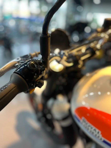 royal_enfield_bear_650__bear_6_6d3aa831_processed.jpg