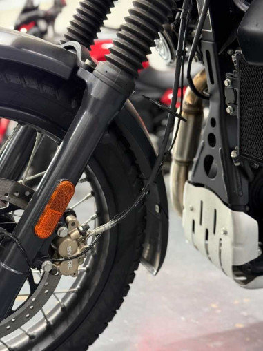 royal_enfield_himalayan_scram__adae196e_processed.jpg