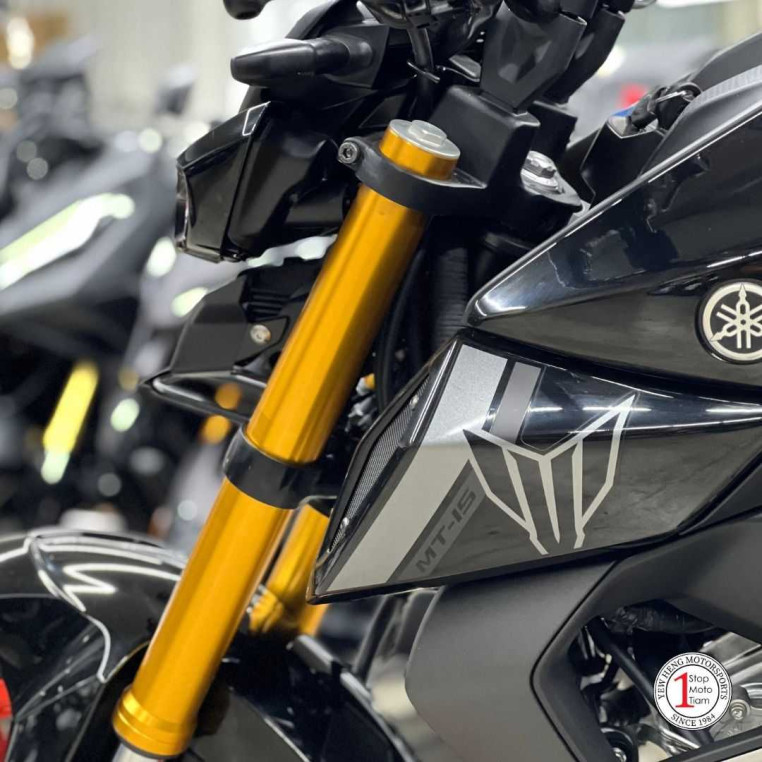 yamaha_mt15__mt_155__mt_15__mt_14091307_processed.jpg