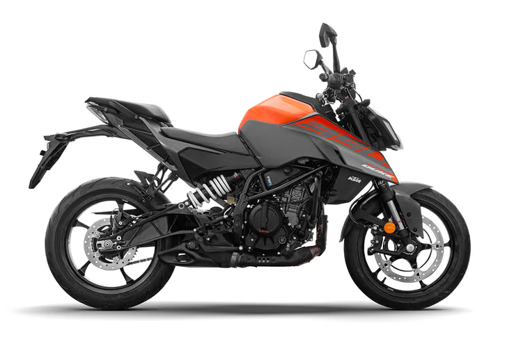 390_Duke_6_7409dcfc_converted.png