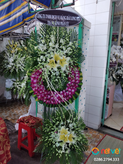 Hình thực tế
