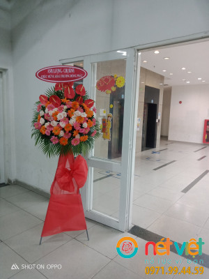 Ngày càng thành công