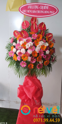 Ngày càng thành công