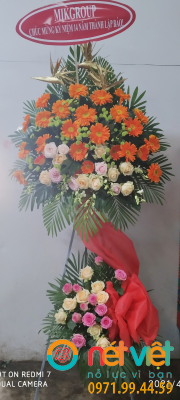 Ngày càng thành công