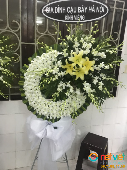 Hình thực tế