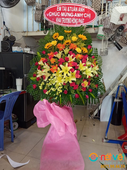 Hình thực tế