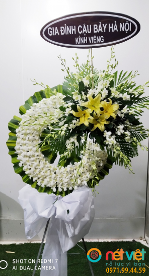 Hình thực tế