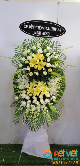 Hình thực tế