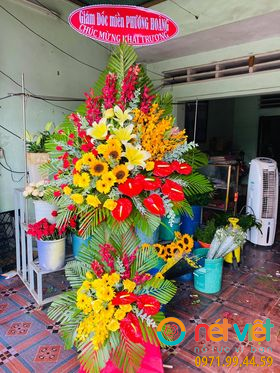 Hình thực tế