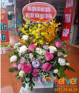 Hình thực tế