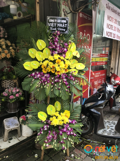 Hình thực tế